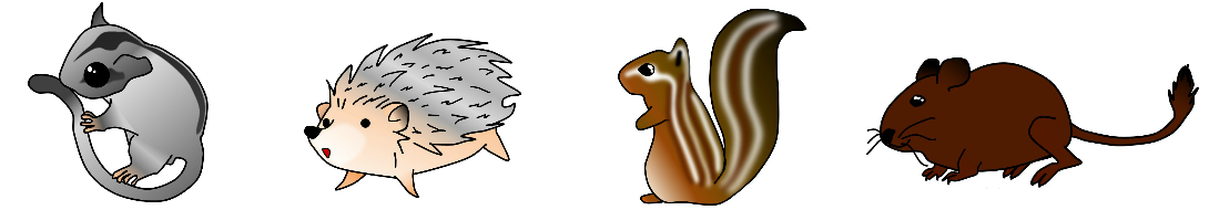 フクロモモンガ ハリネズミ シマリス デグー