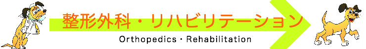 整形外科 リハビリ