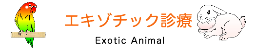 エキゾチック 神奈川