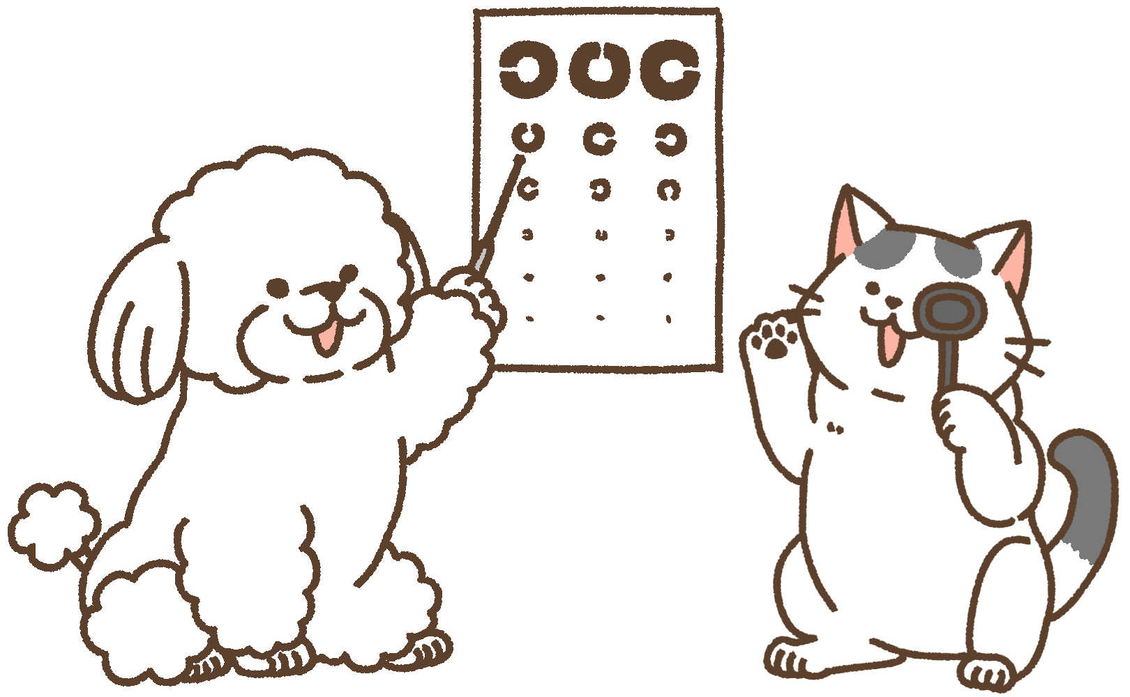 眼科　動物病院