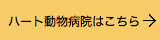 犬　眼科
