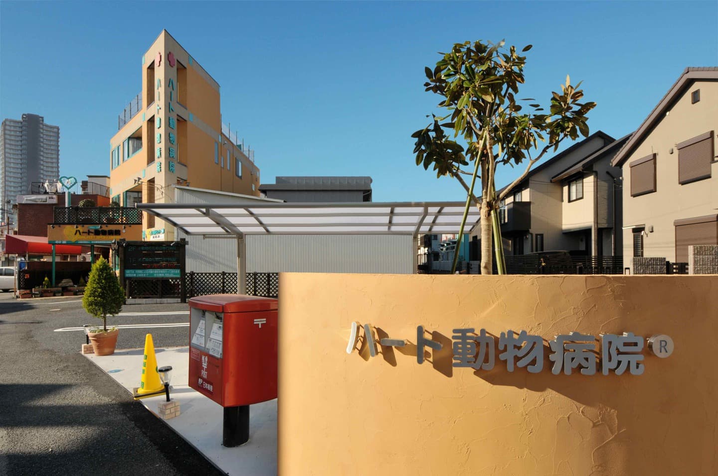 眼科　相模原　猫
